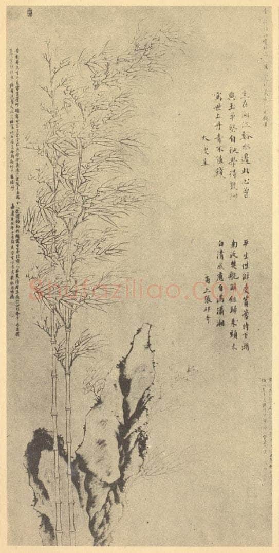 明 金湜《竹石》国画作品