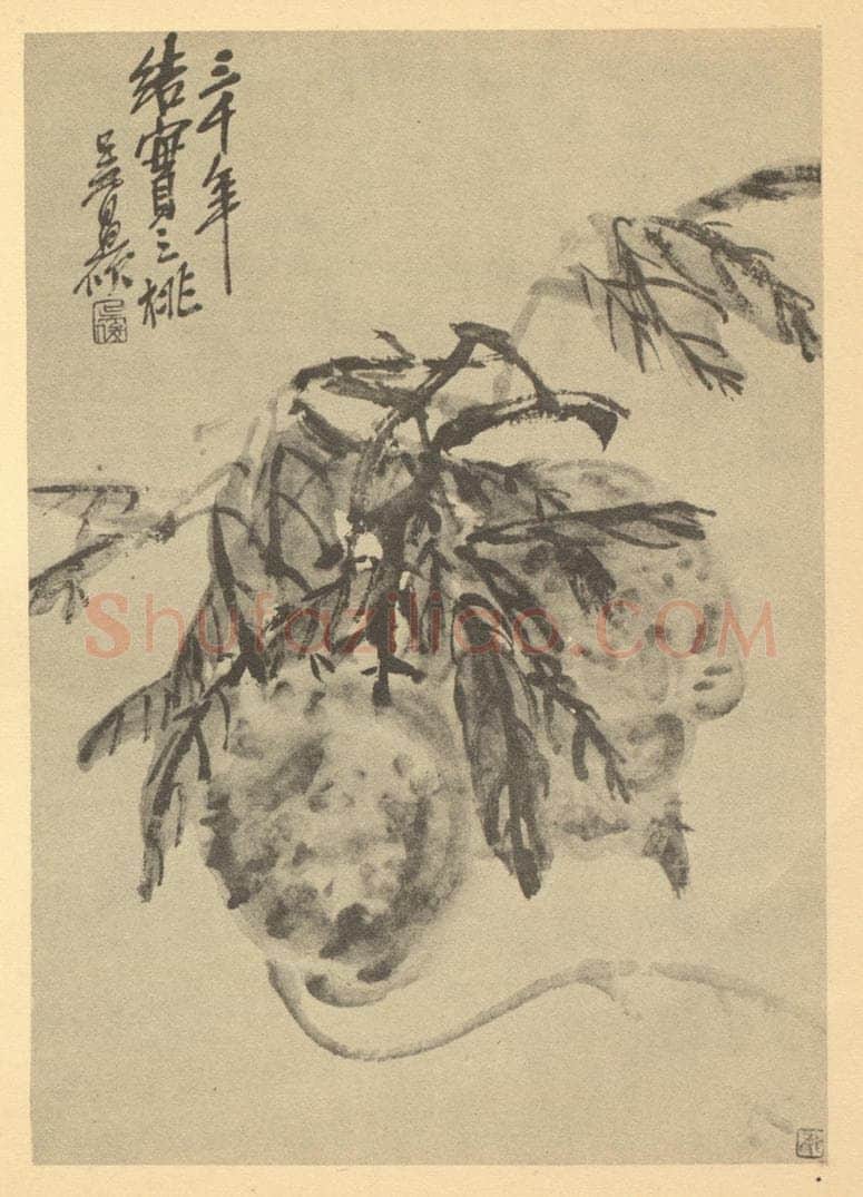 清 吴昌硕《芙蓉》国画作品