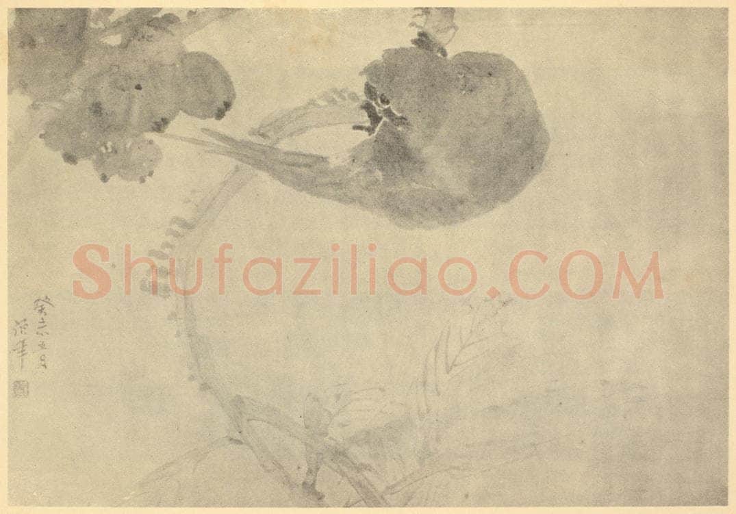 清 任颐《枇杷珍禽》国画作品