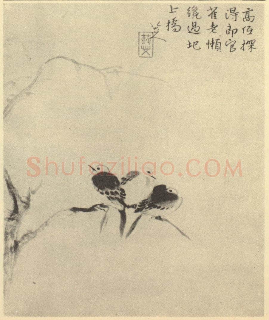 清 朱耷《白雀图》国画作品