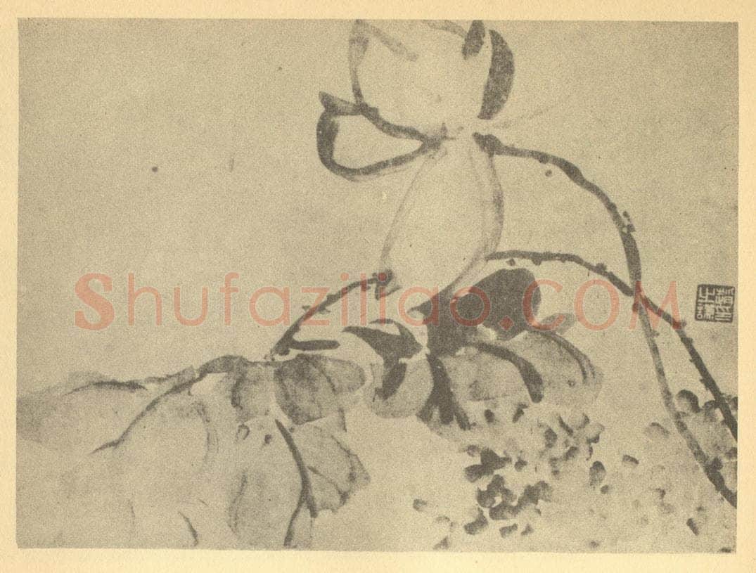 清 赵之谦《荷花》国画作品