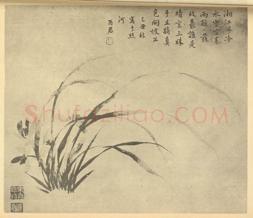 清 蒋廷锡《兰》国画作品