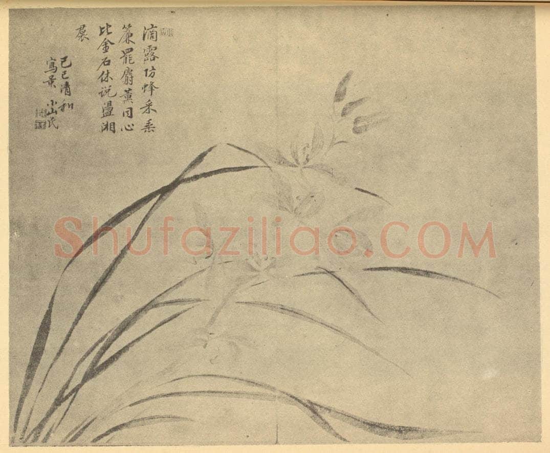 清 邹一桂《兰》国画作品
