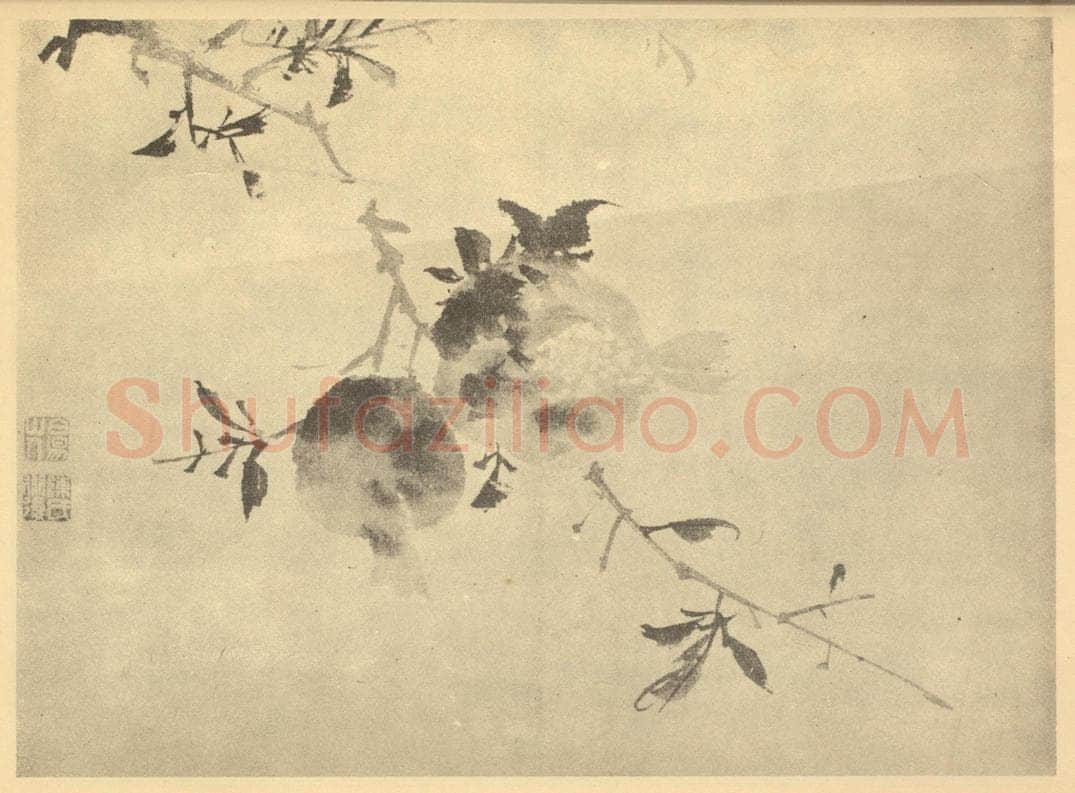 明 陈淳《石榴》国画作品