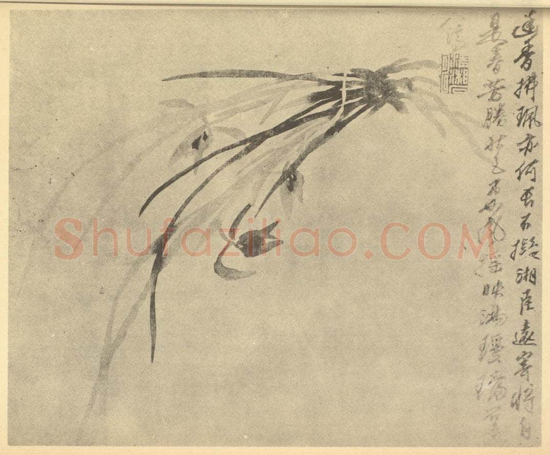 清 释道济《兰》国画作品