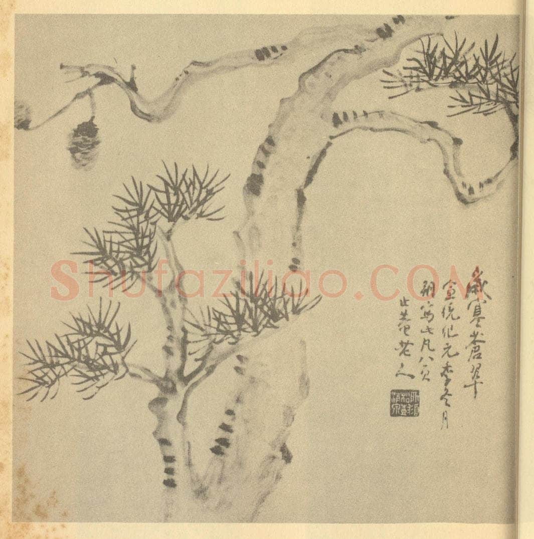 清 陈豪《画松》国画作品