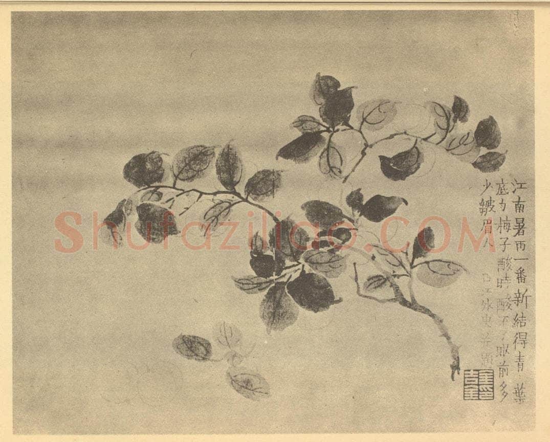 清 金农《梅子》国画作品