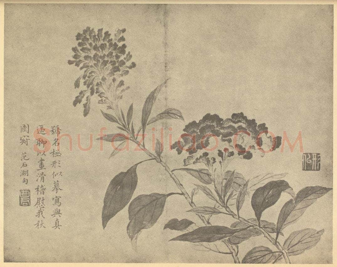 清 蒋廷锡《鸡冠花》国画作品