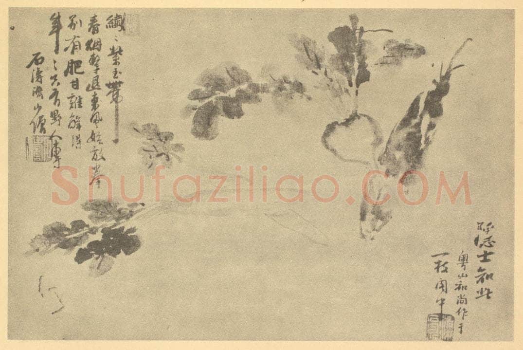 清 道济《蔬笋》国画作品