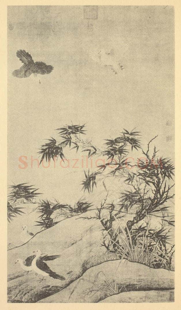 宋·辽 宋人《竹石鸽子芦》国画作品
