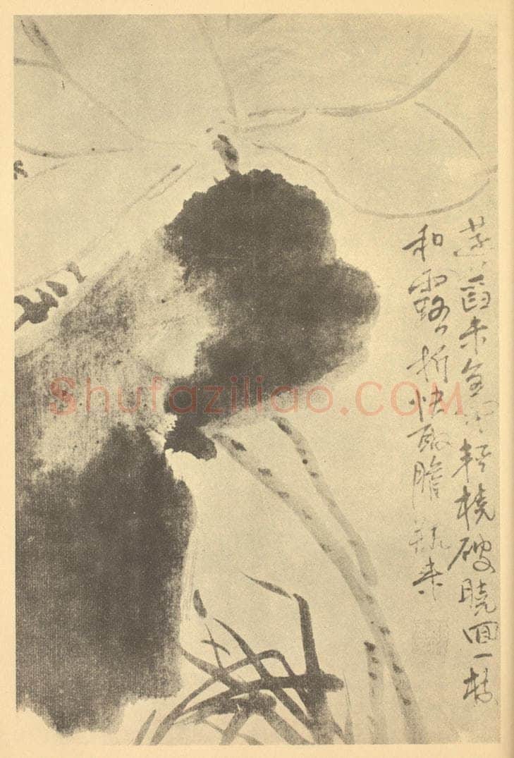 清 颠道人《荷花图》国画作品