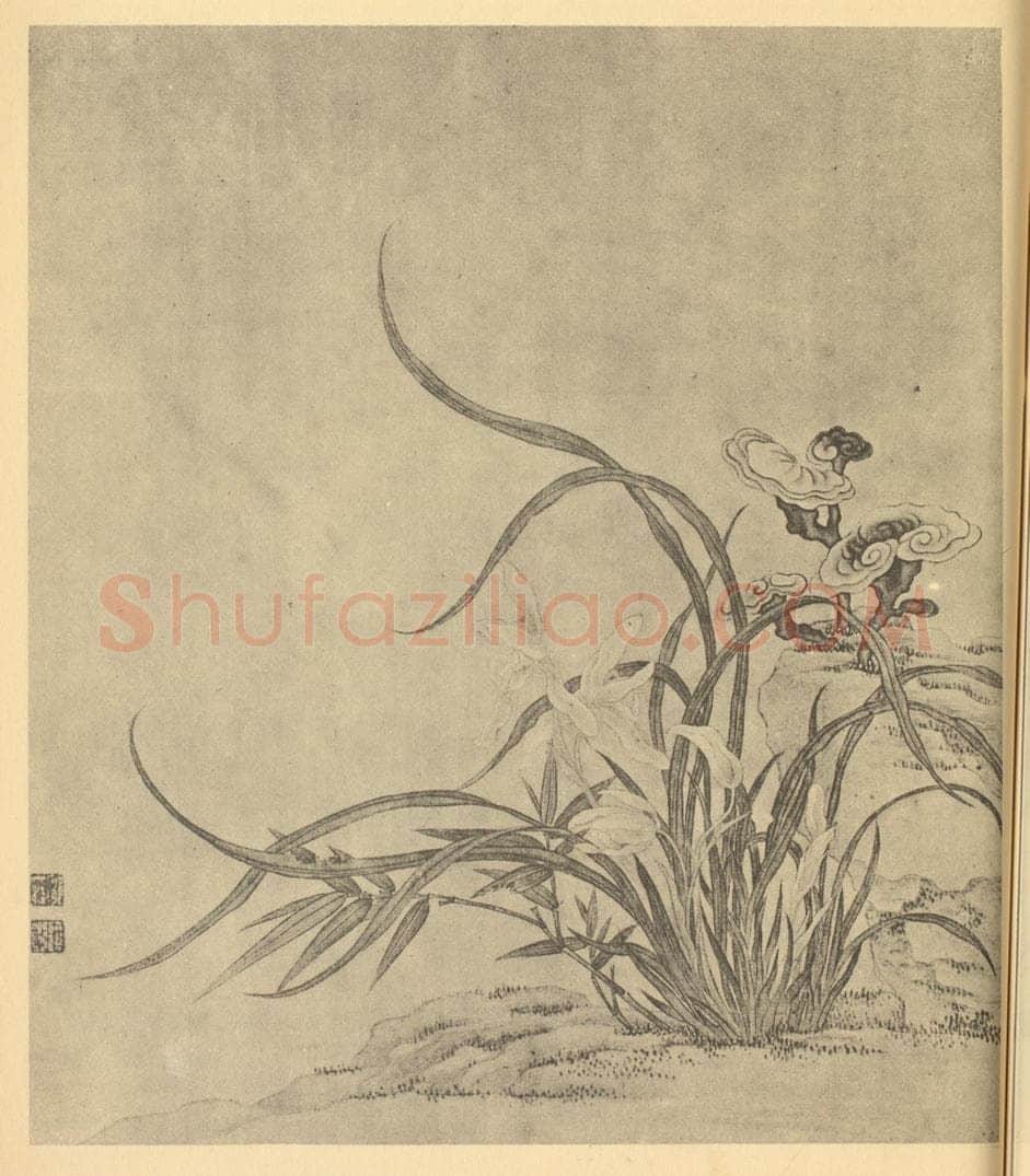 清 邹一桂《兰芝》国画作品