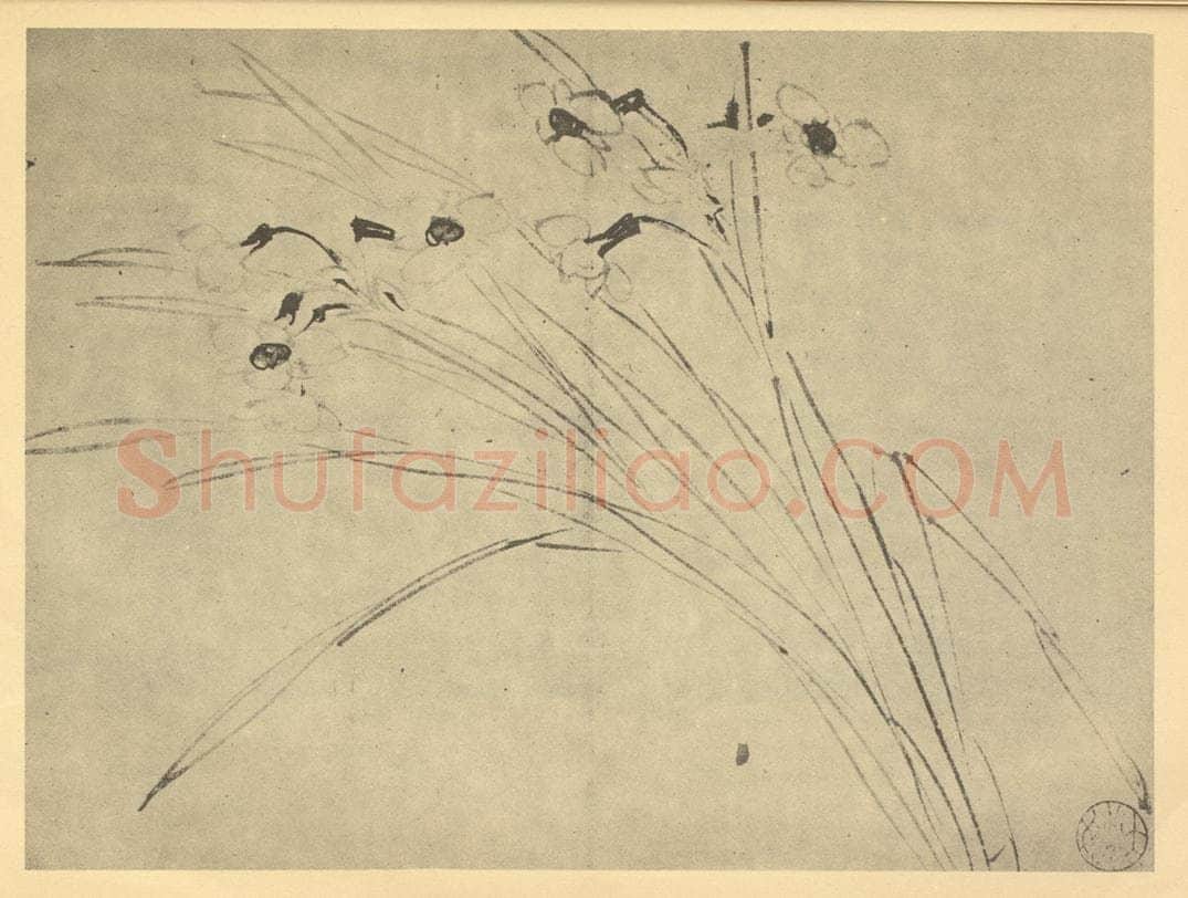 明 陈淳《水仙》国画作品