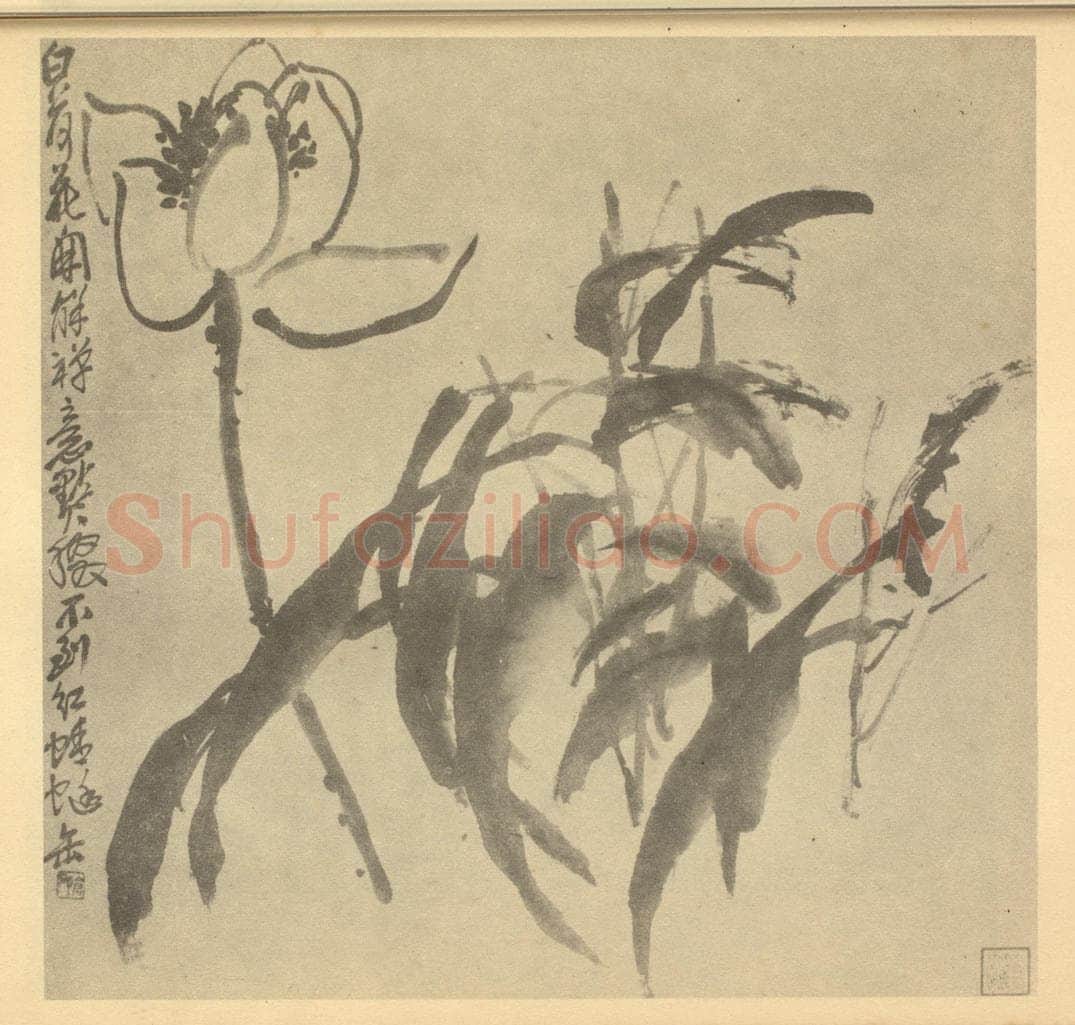 清 吴昌硕《荷花》国画作品