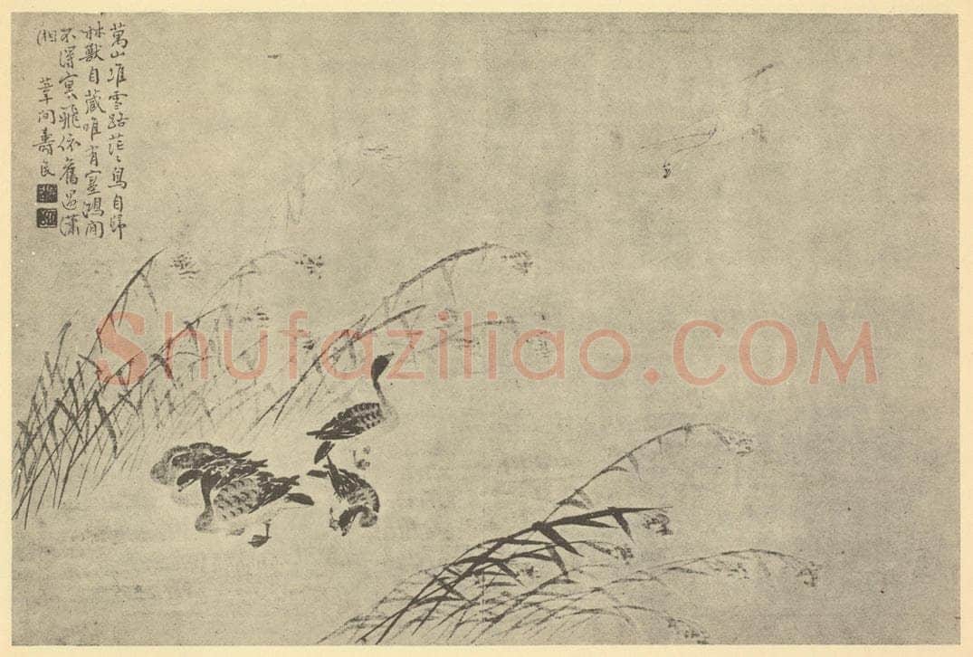 清 边寿民《芦雁图(五)》国画作品