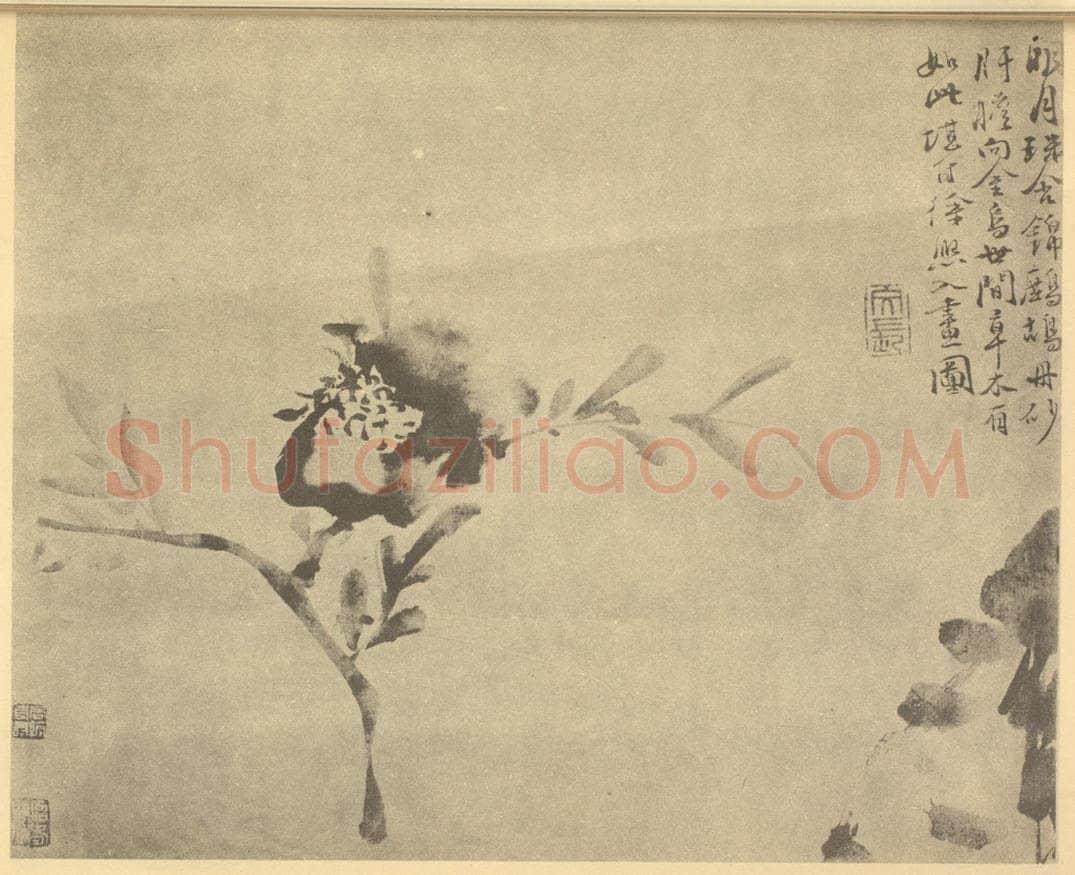 明 徐渭《石榴》国画作品