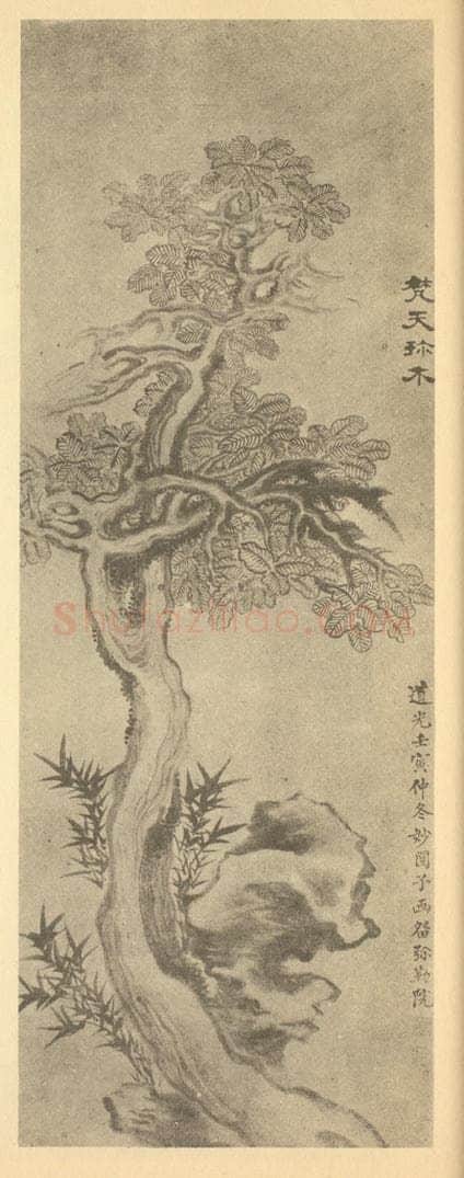 清 戴熙《梵天珍木图》国画作品