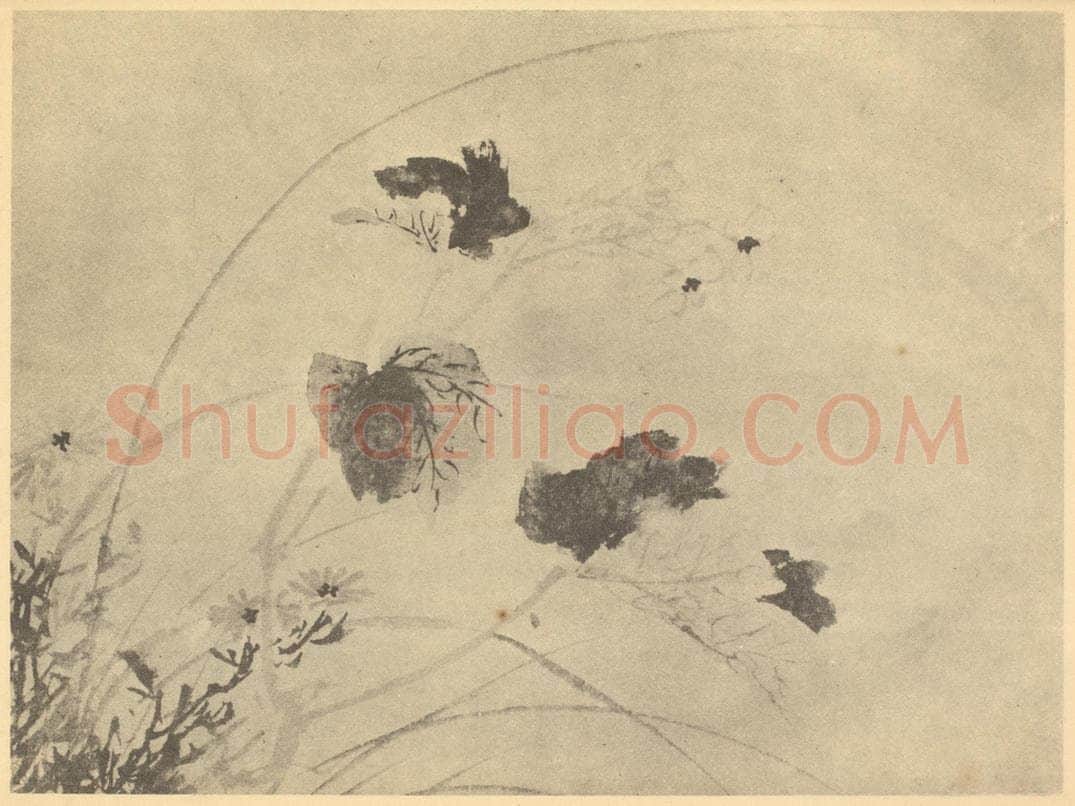 明 陈淳《秋海棠图》国画作品
