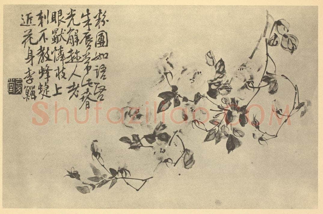 清 李鳝《月季》国画作品