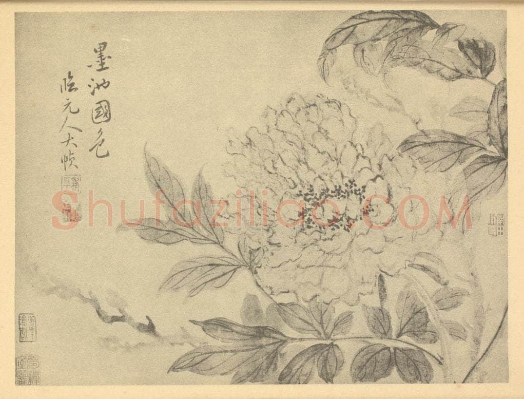 清 恽寿平《墨池国色》国画作品