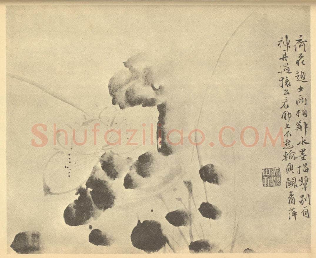 明 徐渭《荷花》国画作品