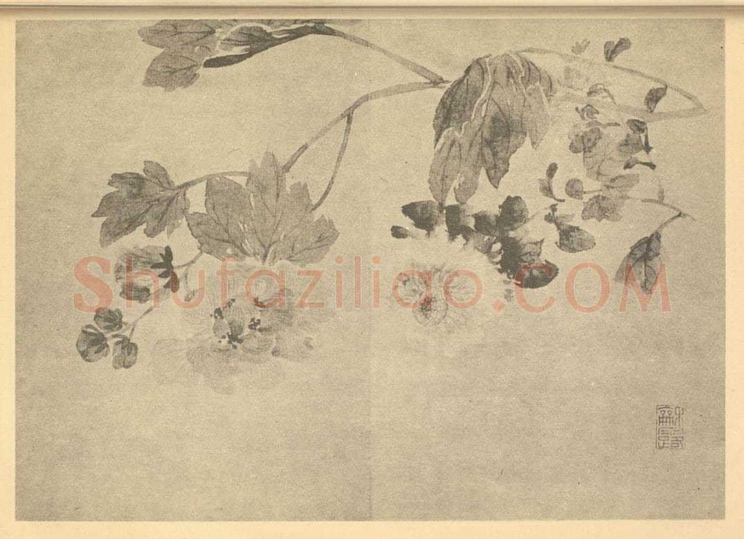 清 吴允楷《芙蓉菊》国画作品