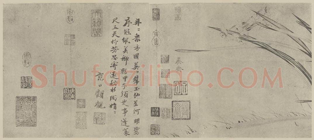宋 赵孟坚《水仙图卷（五）》国画作品