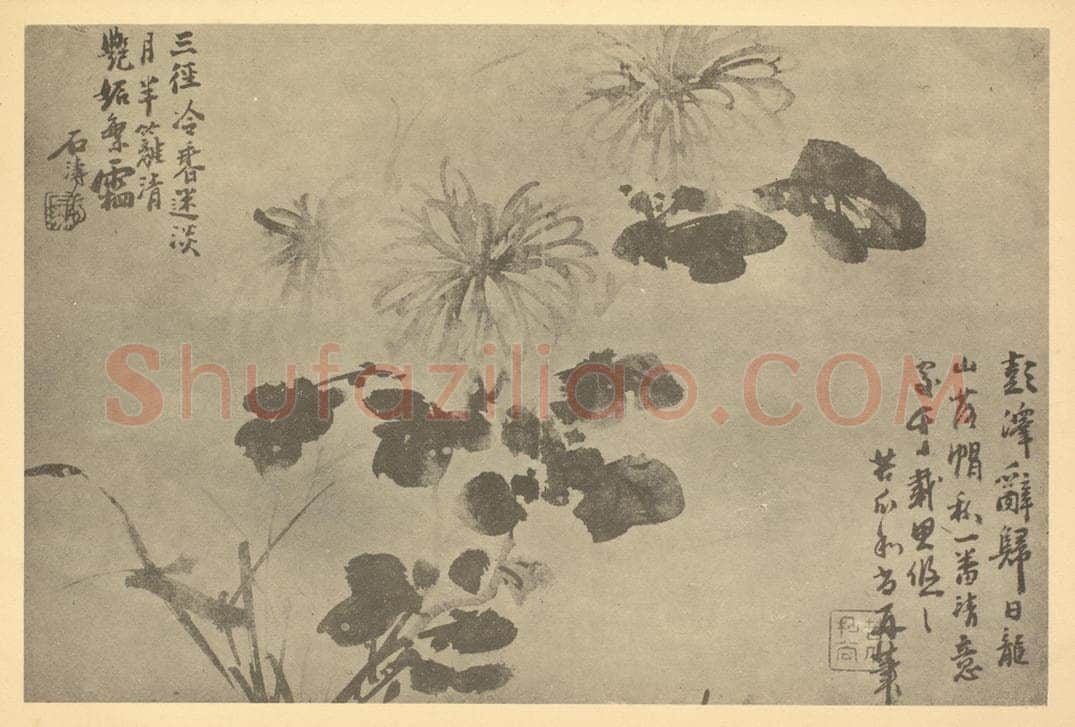 清 释道济《菊》国画作品