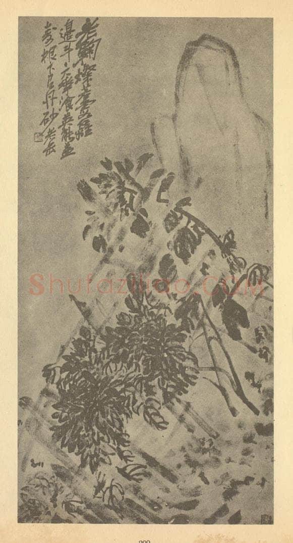 清 吴昌硕《菊石》国画作品