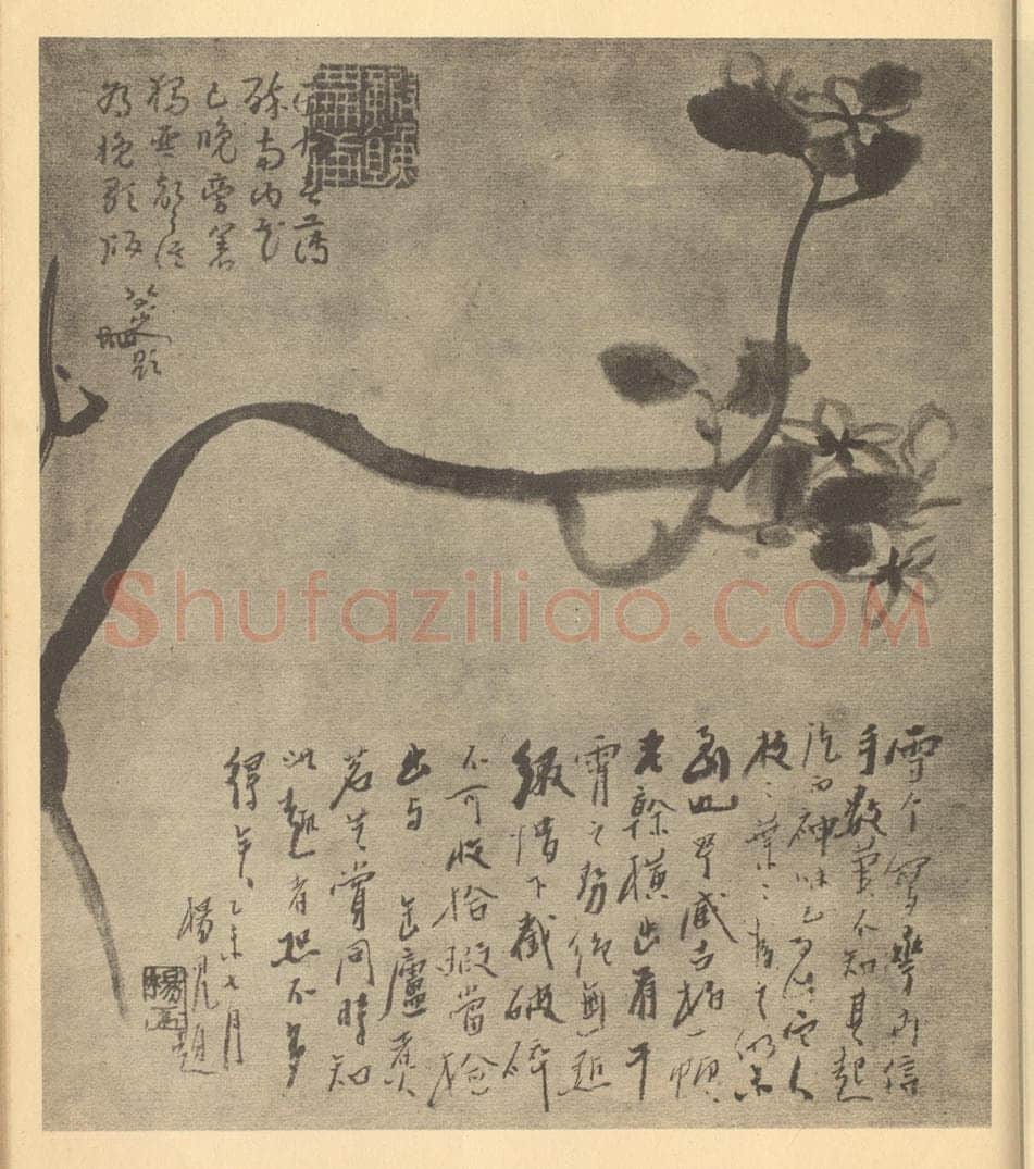 清 朱耷《茉莉》国画作品