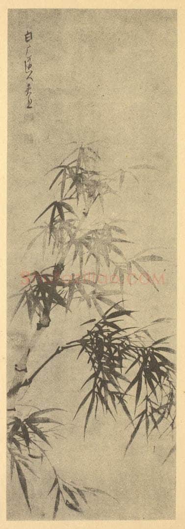 清 吴照《竹》国画作品