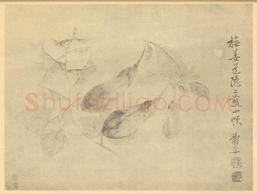 清 恽寿平《二蔬》国画作品