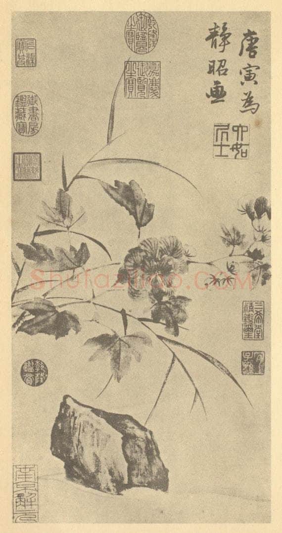明 唐寅《临水芙蓉图》国画作品