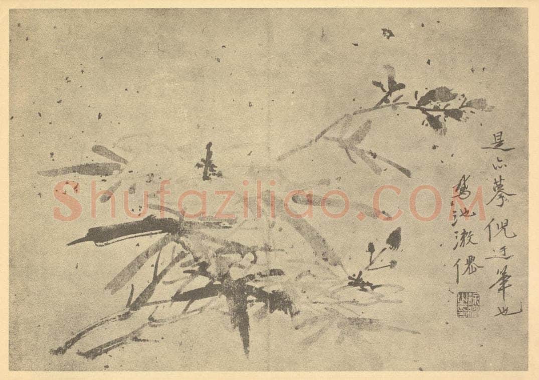 明 徐渭《秋葵》国画作品