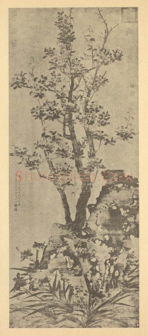 明 陈栝《海棠图》国画作品