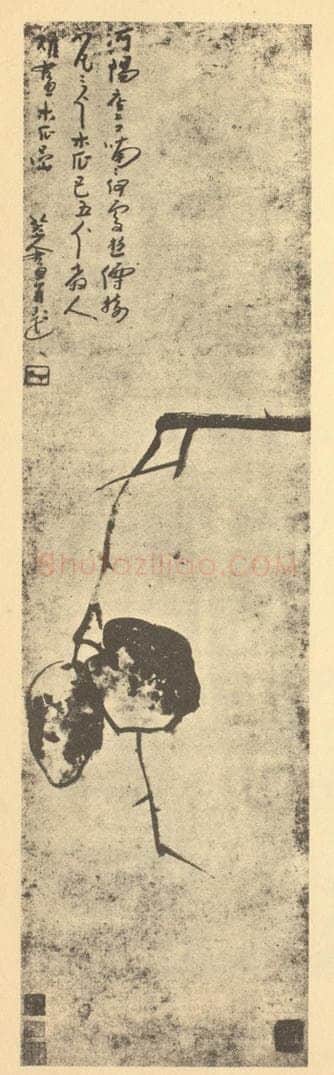 清 朱耷《木瓜》国画作品