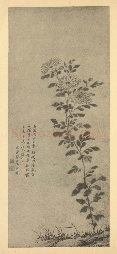 清 张燕昌《菊》国画作品