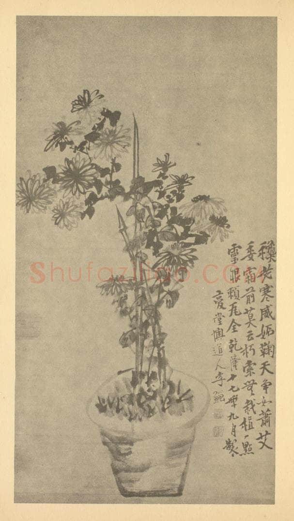 清 李鳝《菊》国画作品