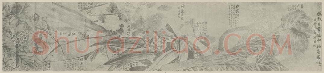 清 赵之谦《瓯中物产卷（一）》国画作品