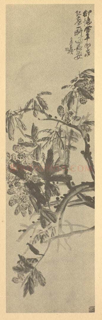 清 吴昌硕《荔枝》国画作品