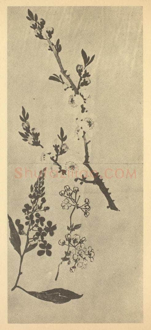 清 黄钺《二十四番华信（三）》国画作品