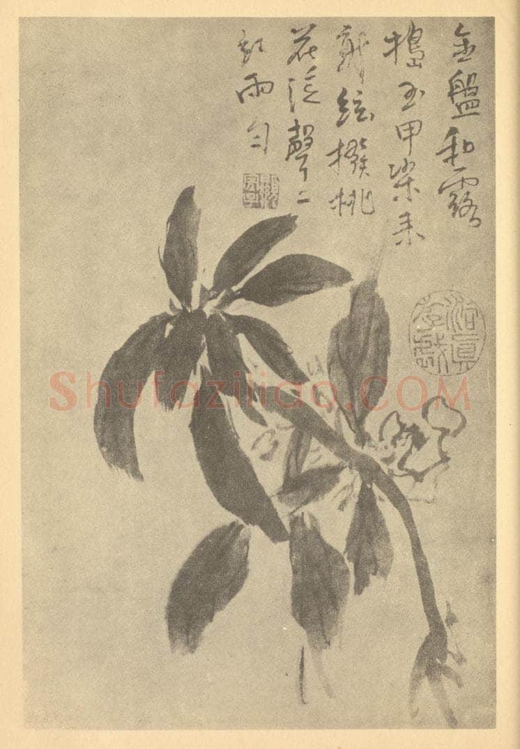 清 顚道人《凤仙花》国画作品