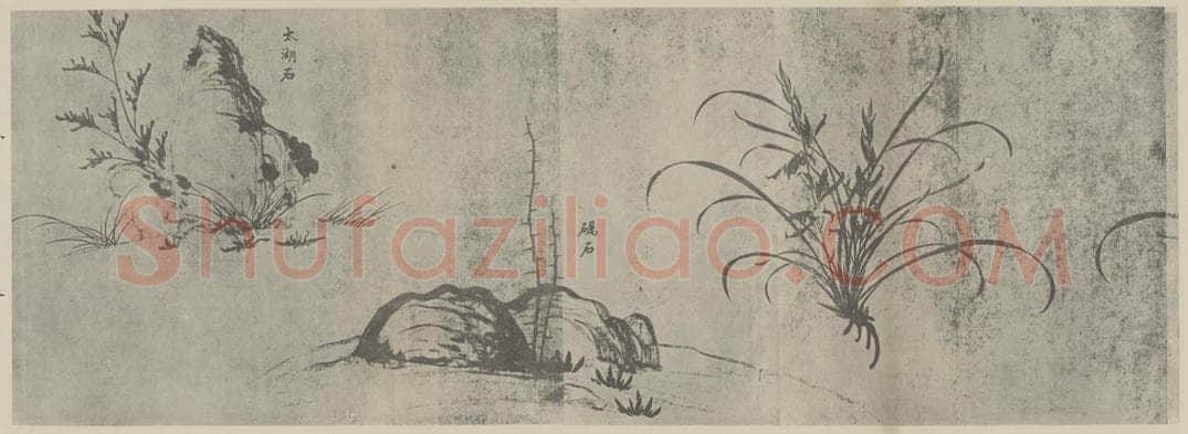宋 赵孟坚《兰谱卷(三)》国画作品