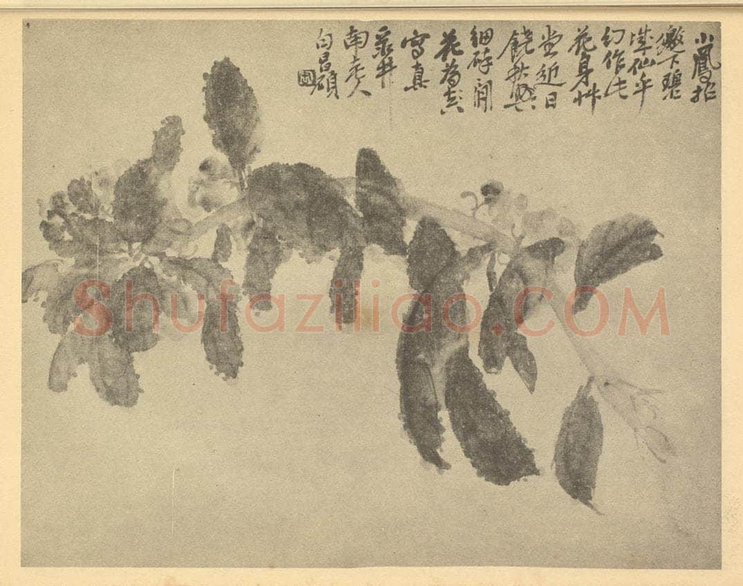 清 吴昌硕《凤仙》国画作品