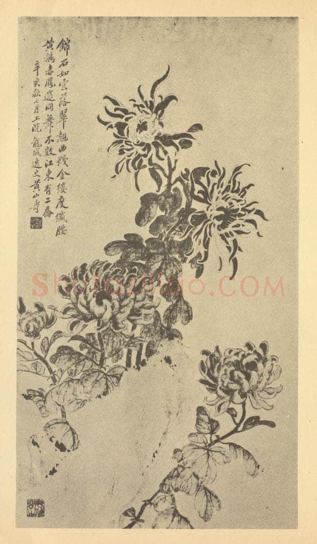 清 黄山寿《菊石》国画作品