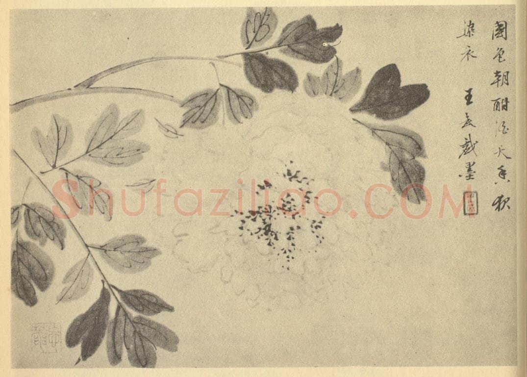 清 王武《牡丹》国画作品