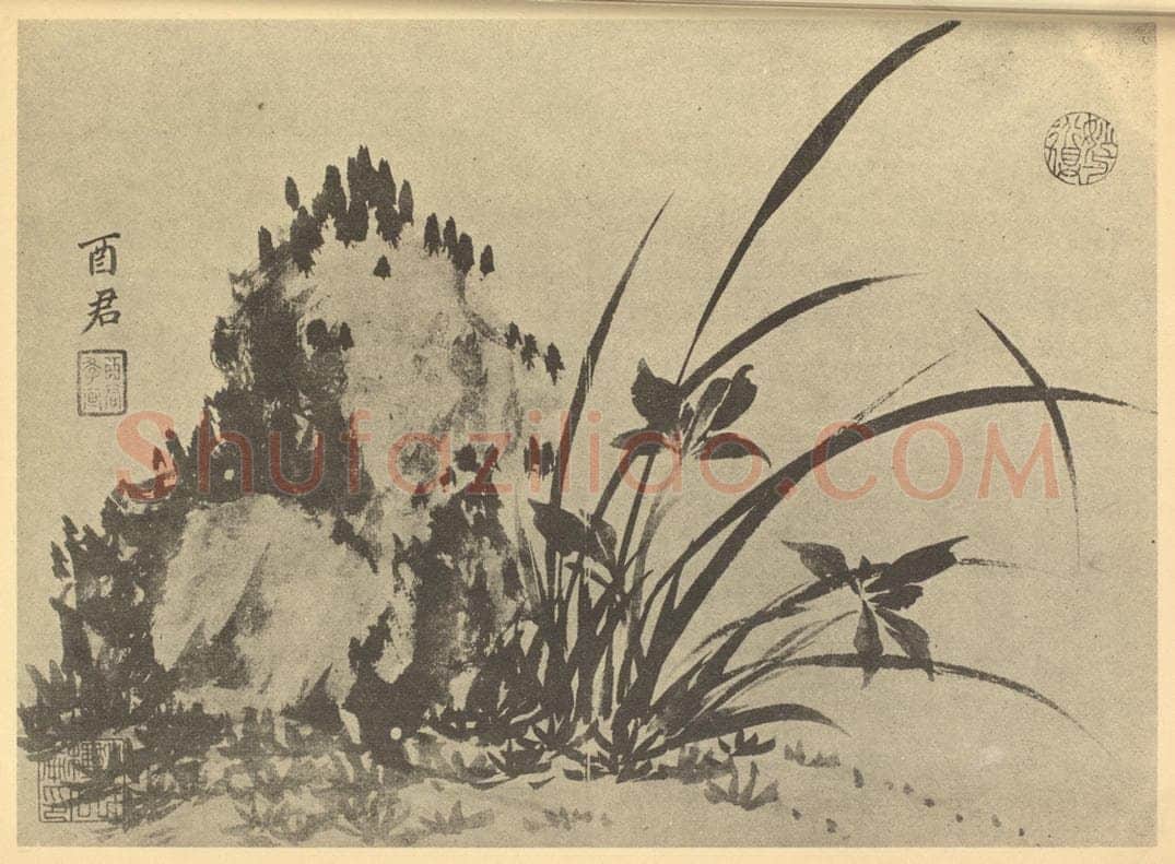 清 蒋廷锡《兰石》国画作品