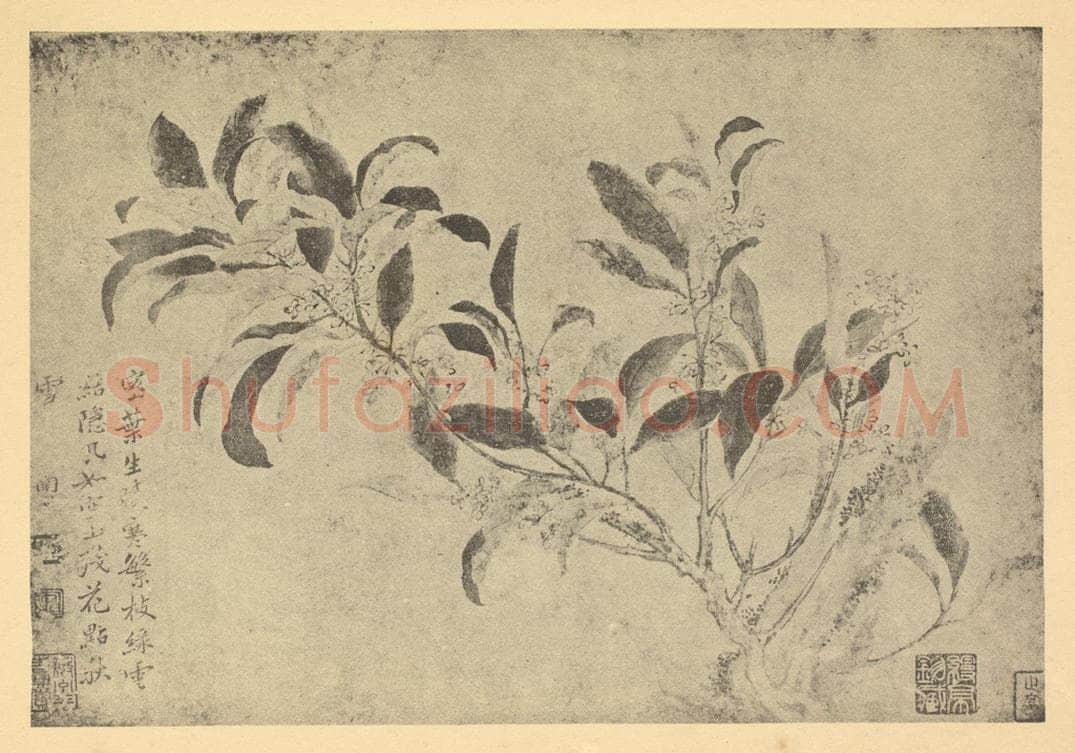 清 恽寿平《桂花》国画作品