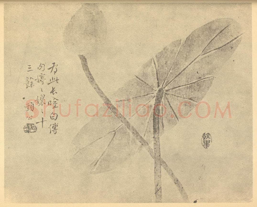 清 边寿民《菡萏图》国画作品