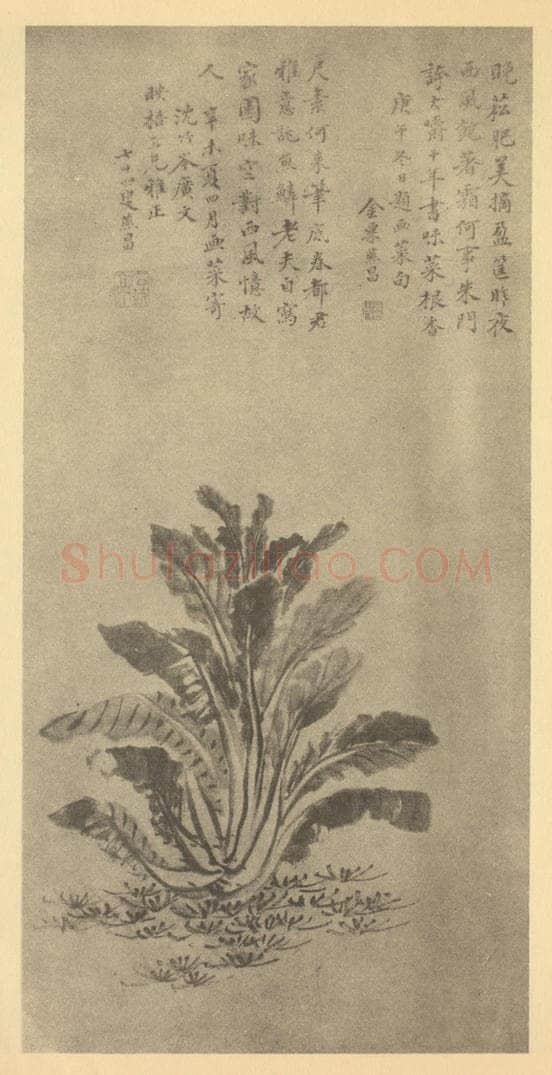 清 张燕昌《蔬菜图》国画作品